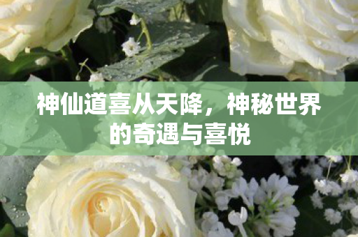 神秘世界的奇遇与喜悦图片