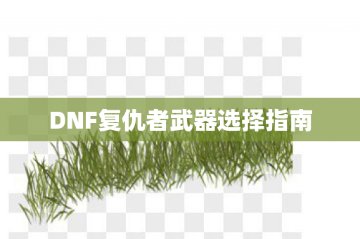 DNF复仇者武器选择指南图片