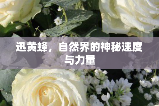 自然界的神秘速度与力量图片