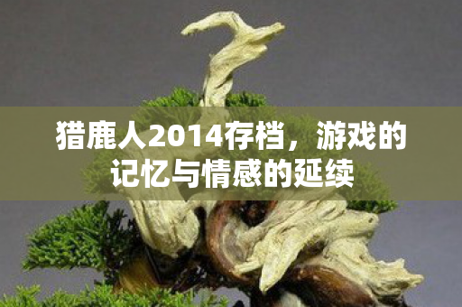 游戏的记忆与情感的延续图片