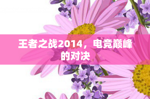 王者之战2014图片
