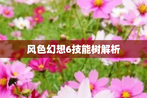 风色幻想6技能树解析图片