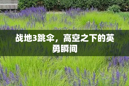 高空之下的英勇瞬间图片