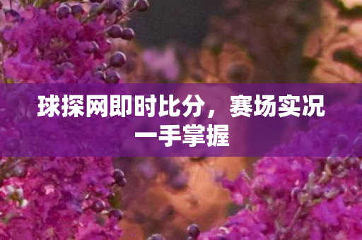 赛场实况一手掌握图片