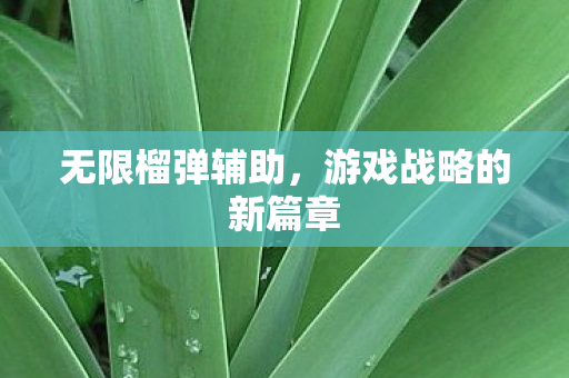 游戏战略的新篇章图片