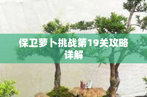 保卫萝卜挑战第19关攻略详解图片