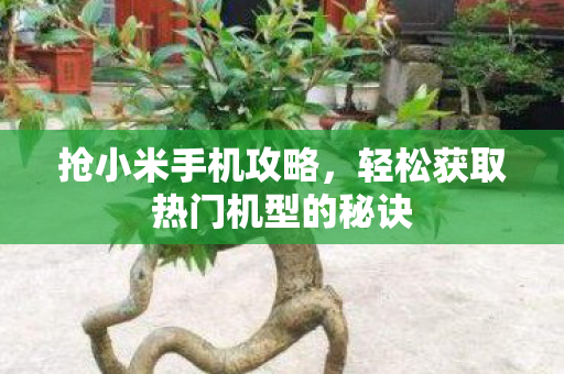 轻松获取热门机型的秘诀图片