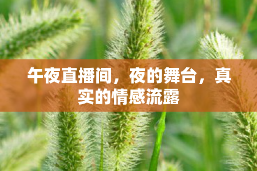 真实的情感流露图片
