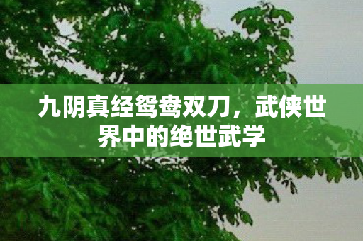 武侠世界中的绝世武学图片