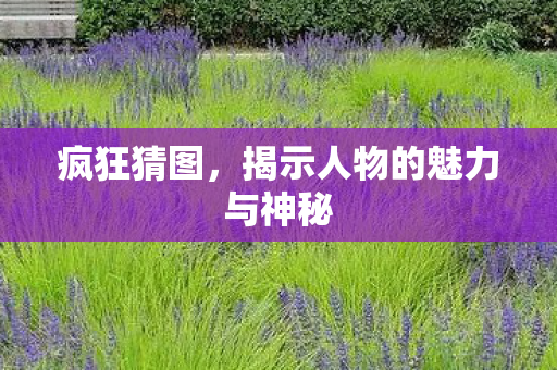 揭示人物的魅力与神秘图片