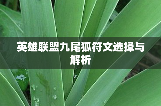 英雄联盟九尾狐符文选择与解析图片