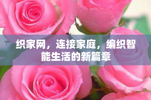 编织智能生活的新篇章图片