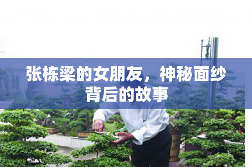神秘面纱背后的故事图片