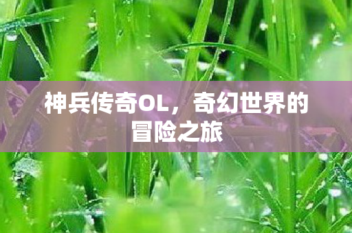 奇幻世界的冒险之旅图片