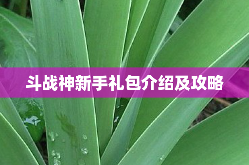 斗战神新手礼包介绍及攻略图片