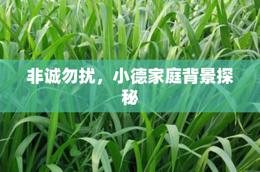 小德家庭背景探秘图片
