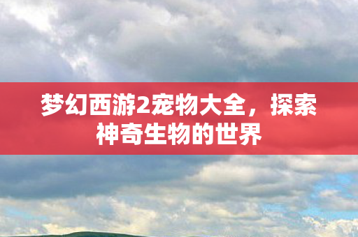 梦幻西游2宠物大全图片