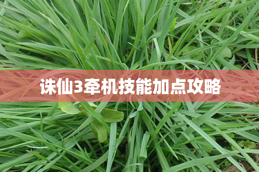 诛仙3牵机技能加点攻略图片