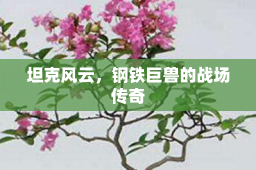 钢铁巨兽的战场传奇图片