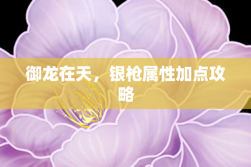 银枪属性加点攻略图片