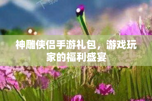 游戏玩家的福利盛宴图片