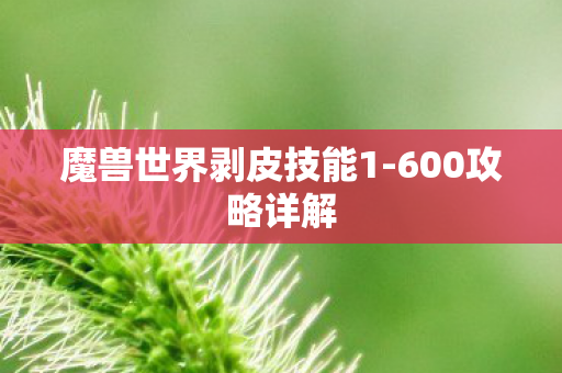 魔兽世界剥皮技能1图片
