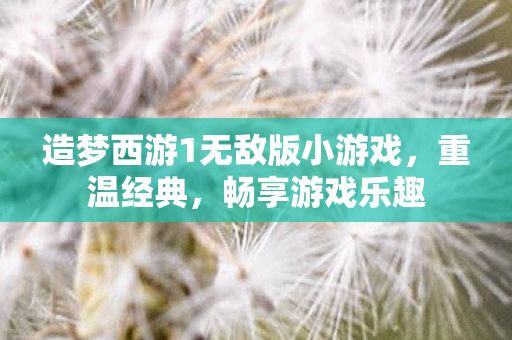 造梦西游1无敌版小游戏图片