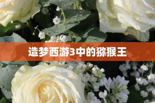 造梦西游3中的猕猴王图片