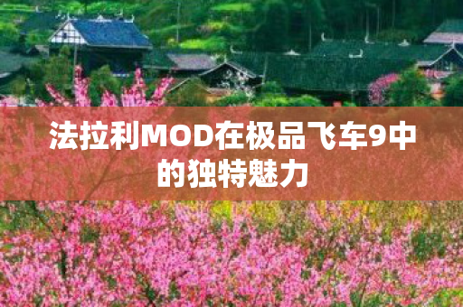 法拉利MOD在极品飞车9中的独特魅力图片