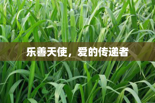 爱的传递者图片