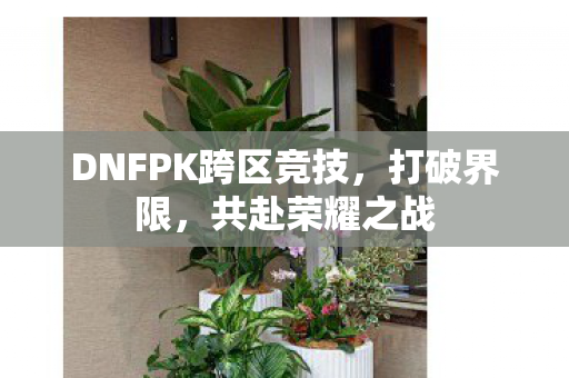 DNFPK跨区竞技图片