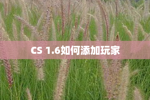 6如何添加玩家图片