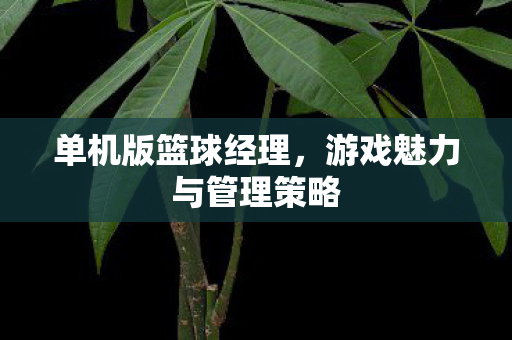 游戏魅力与管理策略图片