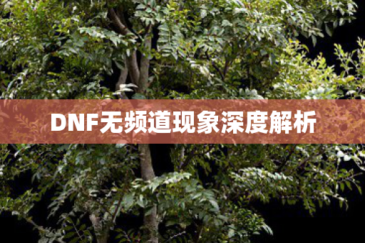 DNF无频道现象深度解析图片