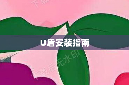 U盾安装指南图片