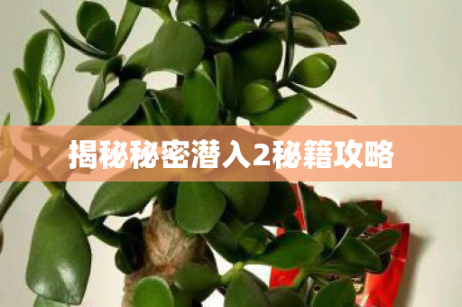 揭秘秘密潜入2秘籍攻略图片