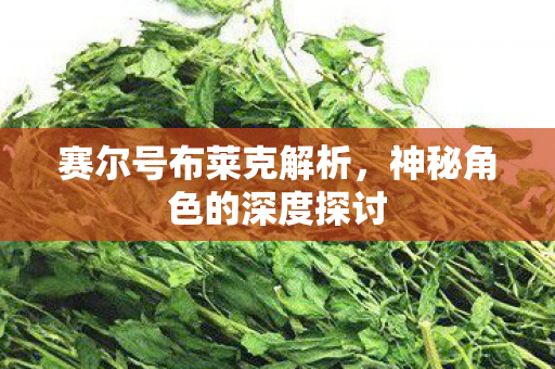 神秘角色的深度探讨图片