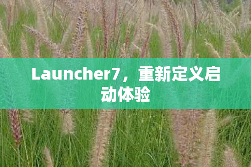 Launcher7图片