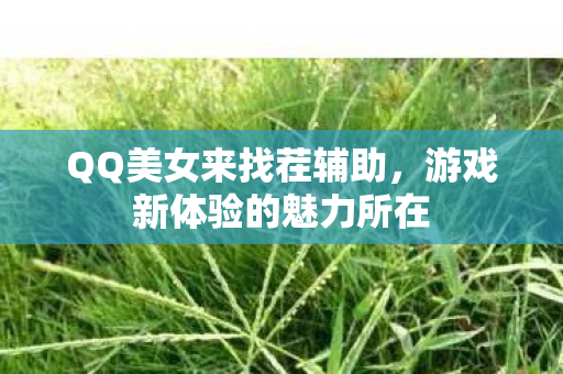 游戏新体验的魅力所在图片