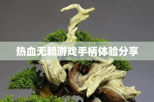 热血无赖游戏手柄体验分享图片