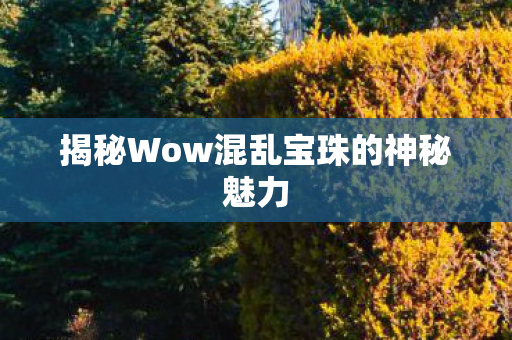 揭秘Wow混乱宝珠的神秘魅力图片