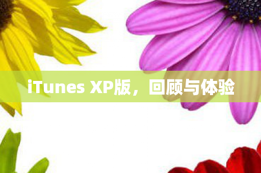 iTunes XP版图片