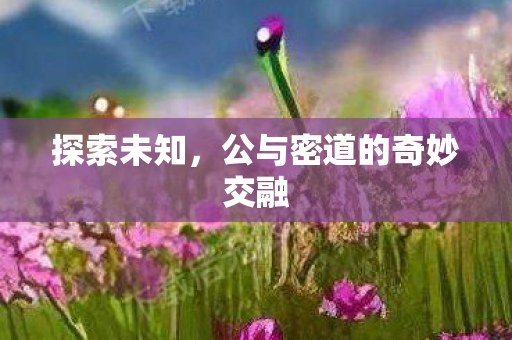 公与密道的奇妙交融图片