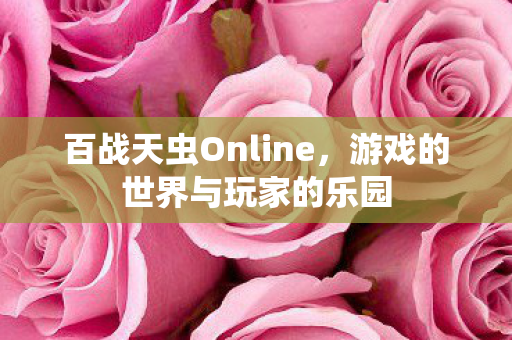 游戏的世界与玩家的乐园图片