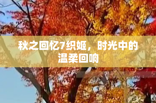 时光中的温柔回响图片