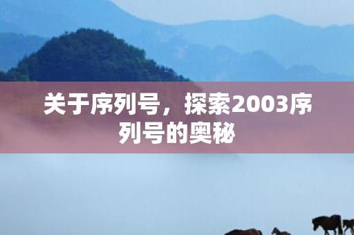 探索2003序列号的奥秘图片