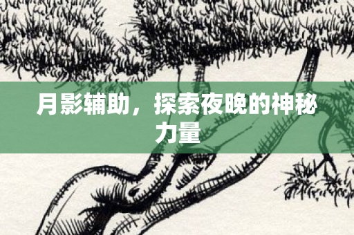 探索夜晚的神秘力量图片