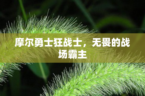 摩尔勇士狂战士图片