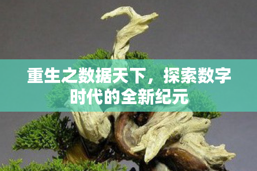 探索数字时代的全新纪元图片