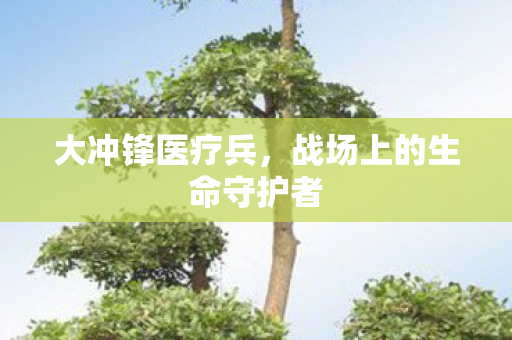 战场上的生命守护者图片